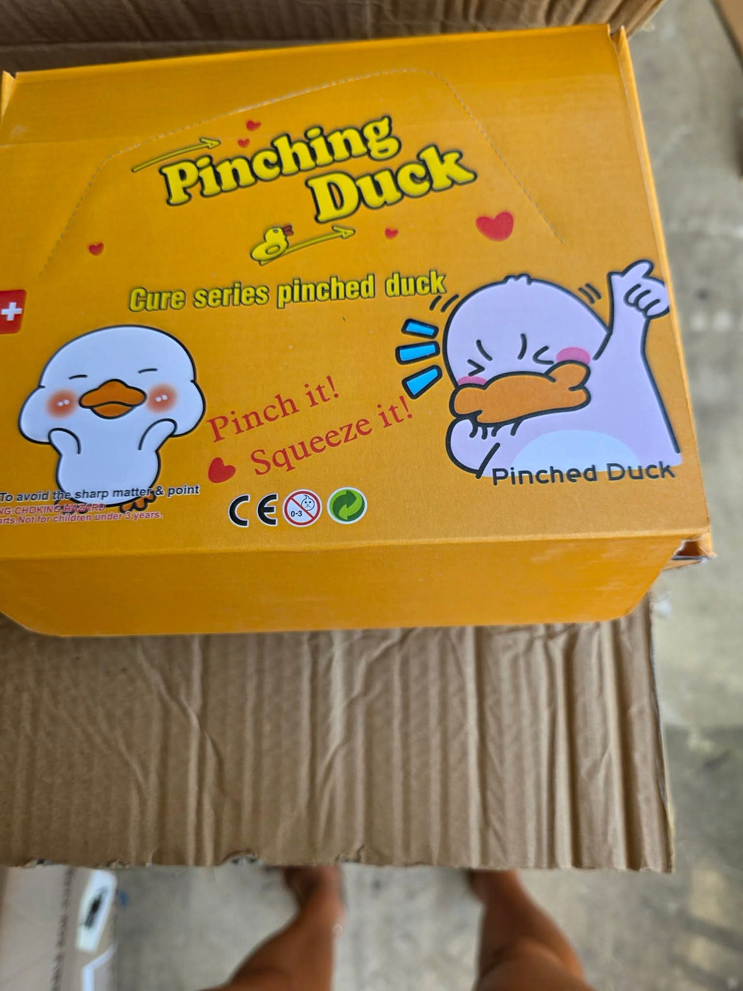 Ducks Squishy