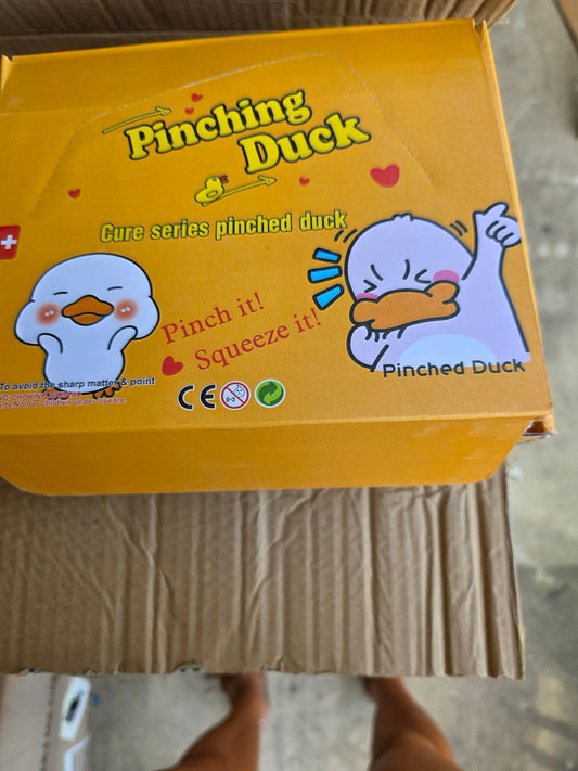 Ducks Squishy